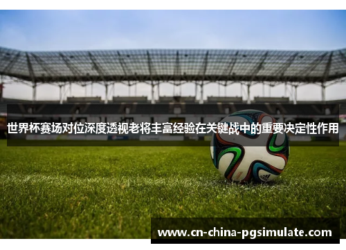 世界杯赛场对位深度透视老将丰富经验在关键战中的重要决定性作用